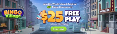 BingoVillage