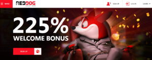 Red Dog Casino